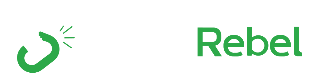 ScriptRebel Systems